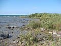 Western Michigan [2010] 825